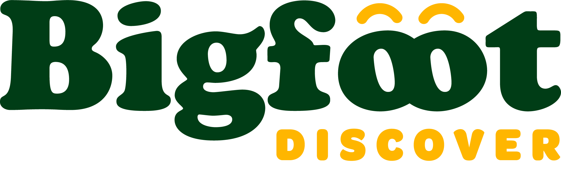 BIGFOOT DISCOVER SRLS